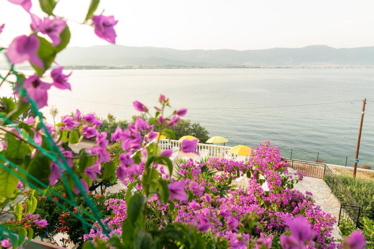 Villa Fjaba - By The Sea - With The Big Terraces & Great Sea View Trogir Eksteriør billede